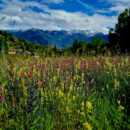 Lotus דירה אוברונאז